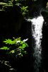 成田山公園「雄飛の滝」（写真：椎名修）